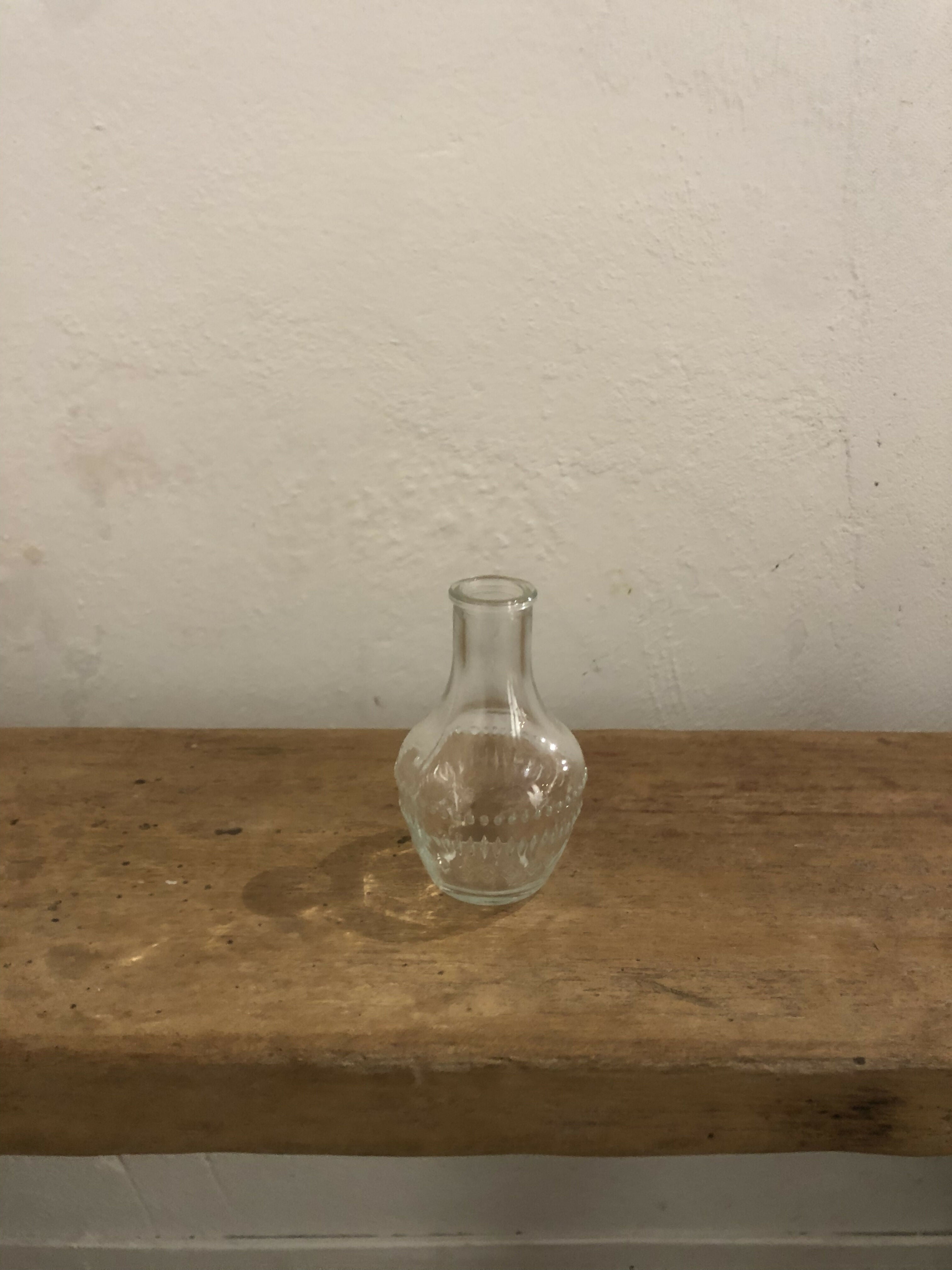 Glas Trixie - Leihprodukt